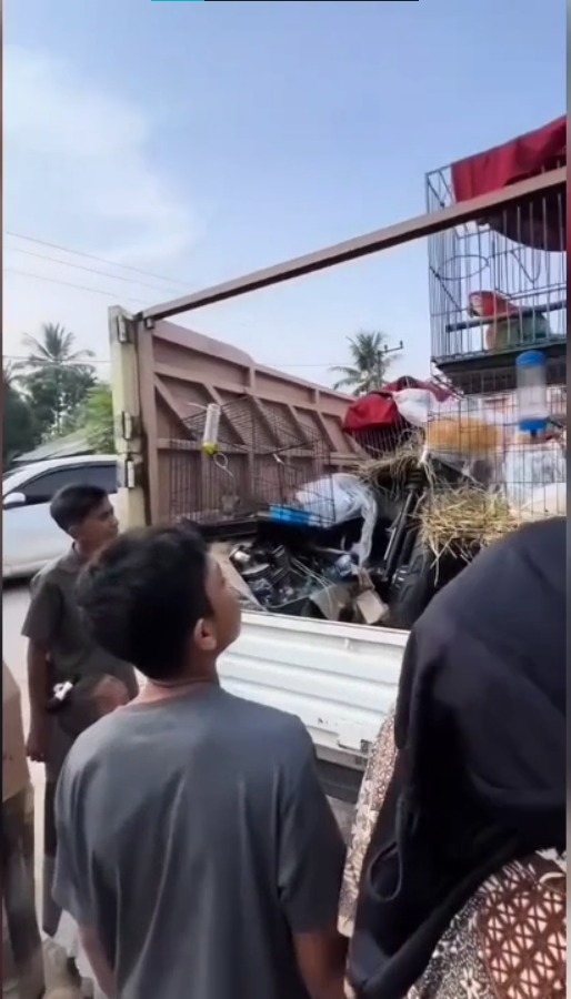 TNI