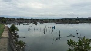 Waduk Reservoir