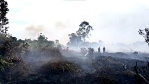 Aceh Barat
