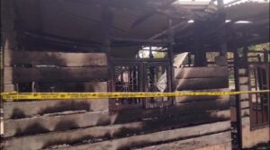 Ludes Terbakar